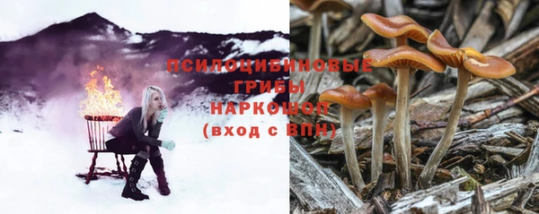 ПСИЛОЦИБИНОВЫЕ ГРИБЫ Армянск