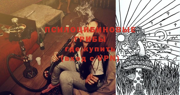 ПСИЛОЦИБИНОВЫЕ ГРИБЫ Армянск